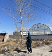 国网乌兰浩特市供电公司： 圆满完成“清明节”保电任务