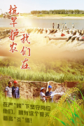抗旱护农，我们在！