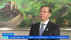 央视“走进国家电网”专访辛保安董事长