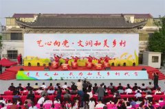 太和县税镇镇：“和大嫂”勾画出基