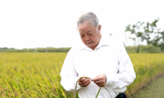 广西喷施宝公司创始人、董事长王祥