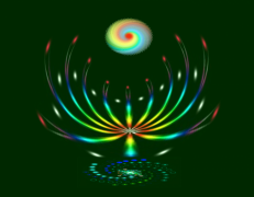 杭州左旋文化左旋科学创始人沈觉宏